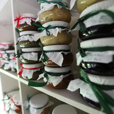 阿瑞特克丝拉庄园酒店 住宿加早餐酒店 萨雷